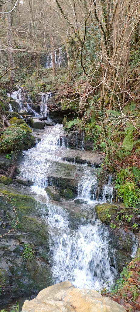 WhatsApp Image 2026-03-08 at 21.27.43 (1)